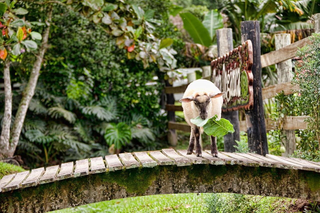 Fazzenda Park Resort Gaspar Ngoại thất bức ảnh